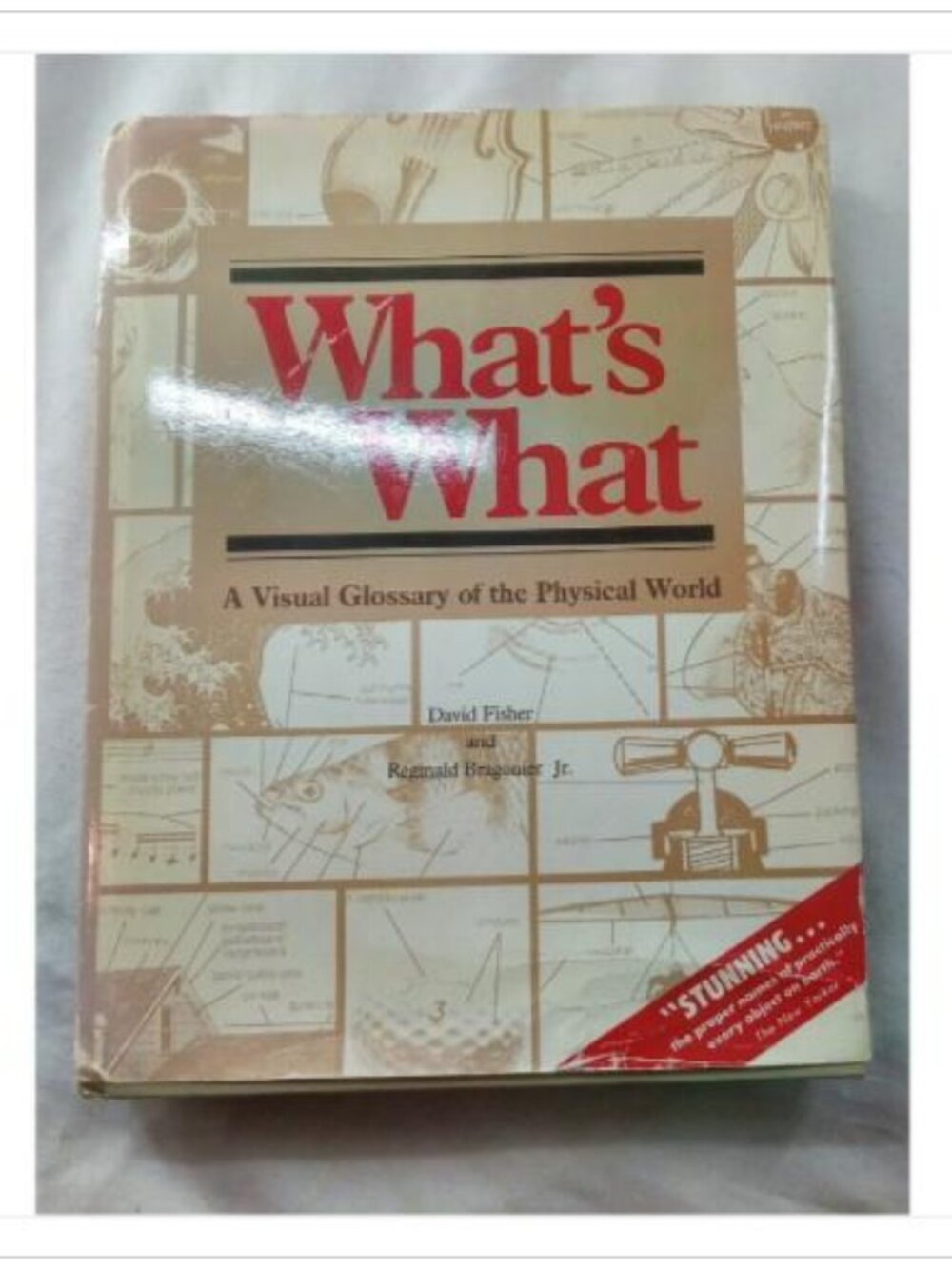 What's What: A Visual Glossary of the Physical World Paperback Book Vintage